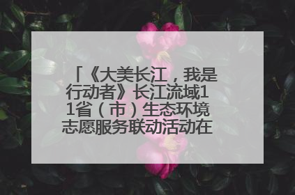 《大美长江，我是行动者》长江流域11省（市）生态环境志愿服务联动活动在江苏南通成功启动