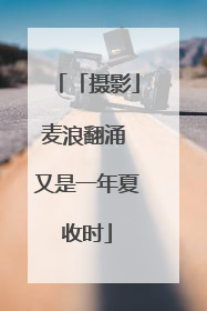 「摄影」麦浪翻涌 又是一年夏收时