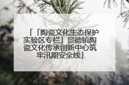 「陶瓷文化生态保护实验区专栏」景德镇陶瓷文化传承创新中心筑牢汛期安全线