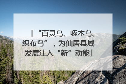 “百灵鸟、啄木鸟、织布鸟”，为仙居县域发展注入“新”动能