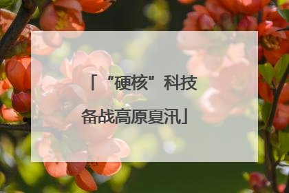 “硬核”科技备战高原夏汛