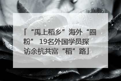 “禹上稻乡”海外“圈粉” 19名外国学员探访余杭共富“稻”路