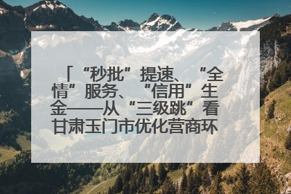 “秒批”提速、“全情”服务、“信用”生金——从“三级跳”看甘肃玉门市优化营商环境的进阶之路