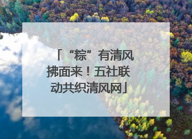 “粽”有清风拂面来！五社联动共织清风网