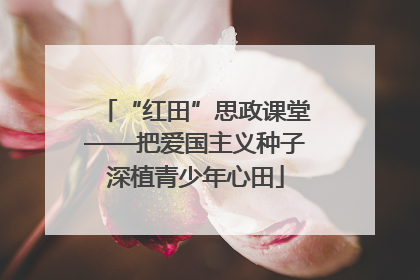 “红田”思政课堂——把爱国主义种子深植青少年心田