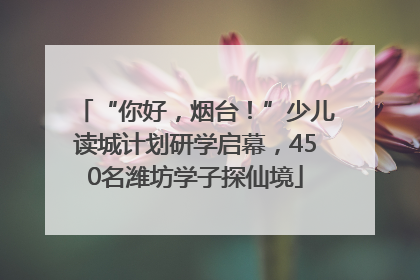 “你好，烟台！”少儿读城计划研学启幕，450名潍坊学子探仙境