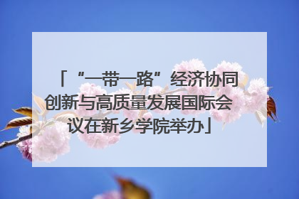 “一带一路”经济协同创新与高质量发展国际会议在新乡学院举办