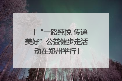 “一路纯悦 传递美好”公益健步走活动在郑州举行