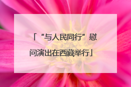 “与人民同行”慰问演出在西藏举行