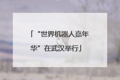 “世界机器人嘉年华”在武汉举行