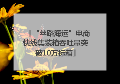 “丝路海运”电商快线集装箱吞吐量突破10万标箱