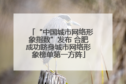 “中国城市网络形象指数”发布 合肥成功跻身城市网络形象榜单第一方阵