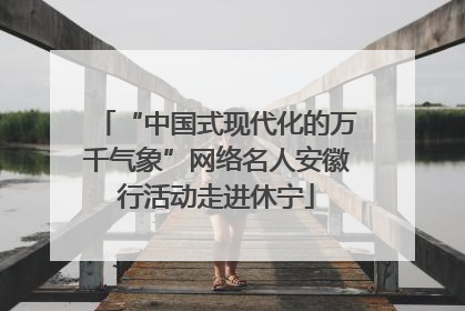 “中国式现代化的万千气象”网络名人安徽行活动走进休宁