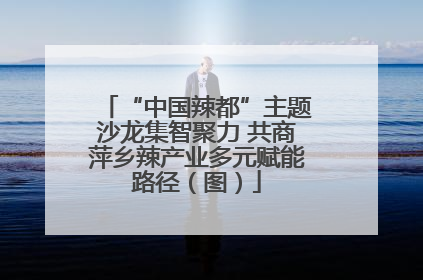 “中国辣都”主题沙龙集智聚力 共商萍乡辣产业多元赋能路径（图）
