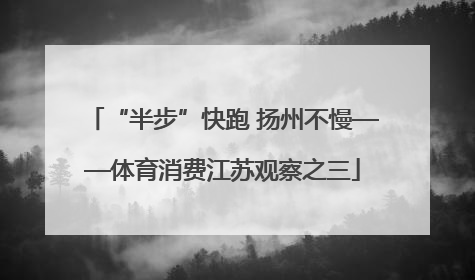 “半步”快跑 扬州不慢——体育消费江苏观察之三