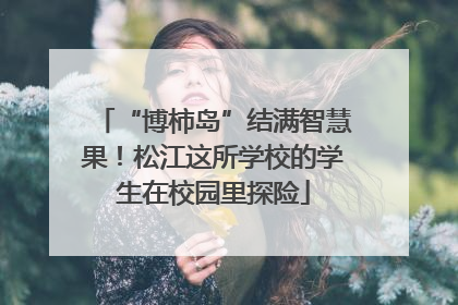 “博柿岛”结满智慧果！松江这所学校的学生在校园里探险