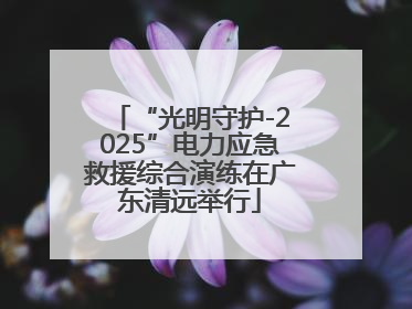 “光明守护-2025”电力应急救援综合演练在广东清远举行