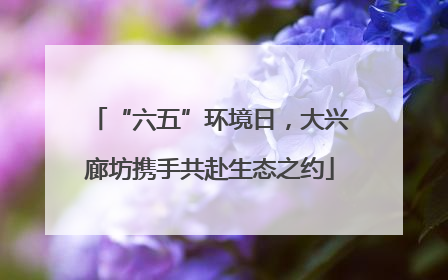 “六五”环境日，大兴廊坊携手共赴生态之约