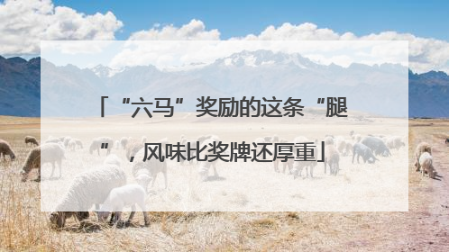 “六马”奖励的这条“腿”，风味比奖牌还厚重