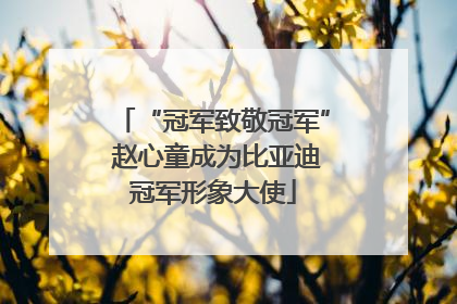 “冠军致敬冠军” 赵心童成为比亚迪冠军形象大使