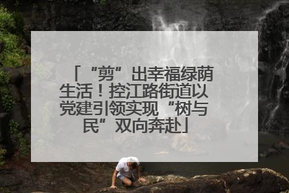 “剪”出幸福绿荫生活！控江路街道以党建引领实现“树与民”双向奔赴