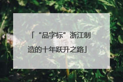 “品字标”浙江制造的十年跃升之路