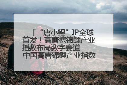 “唐小鲤”IP全球首发！高唐携锦鲤产业指数布局数字赛道——中国高唐锦鲤产业指数暨“唐小鲤”IP全球首发仪式在杭州举行