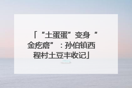 “土蛋蛋”变身“金疙瘩”：孙伯镇西程村土豆丰收记