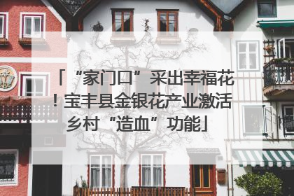 “家门口”采出幸福花！宝丰县金银花产业激活乡村“造血”功能