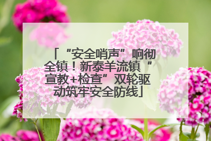 “安全哨声”响彻全镇！新泰羊流镇“宣教+检查”双轮驱动筑牢安全防线