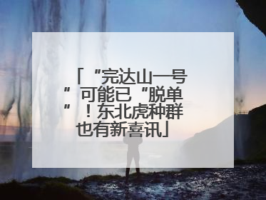 “完达山一号”可能已“脱单”！东北虎种群也有新喜讯