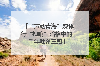 “声动青海”媒体行“扣响”暗格中的千年吐蕃王冠