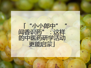 “小小郎中”“闻香识药”：这样的中医药研学活动更能启蒙