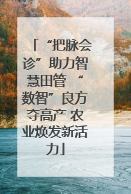 “把脉会诊”助力智慧田管 “数智”良方夺高产 农业焕发新活力