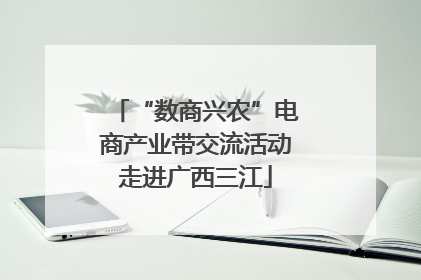 “数商兴农”电商产业带交流活动走进广西三江