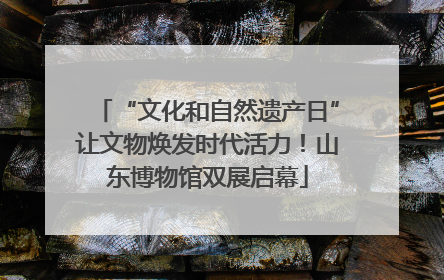 “文化和自然遗产日”让文物焕发时代活力！山东博物馆双展启幕