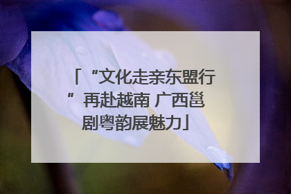 “文化走亲东盟行”再赴越南 广西邕剧粤韵展魅力