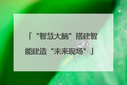 “智慧大脑”搭建智能建造“未来现场”