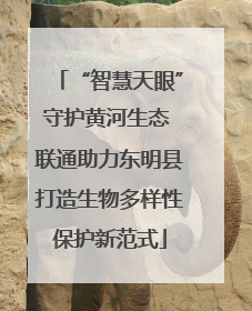 “智慧天眼”守护黄河生态 联通助力东明县打造生物多样性保护新范式