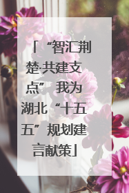 “智汇荆楚·共建支点” 我为湖北“十五五”规划建言献策