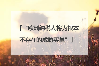 “欧洲纳税人将为根本不存在的威胁买单”