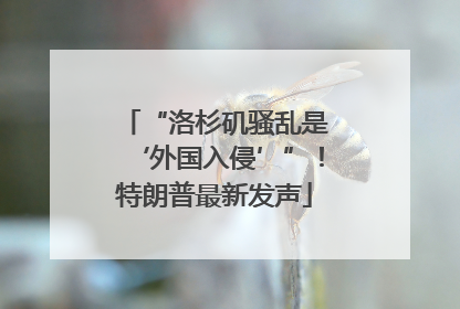 “洛杉矶骚乱是‘外国入侵’”！特朗普最新发声