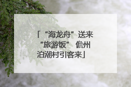 “海龙舟”送来“旅游饭” 儋州泊潮村引客来