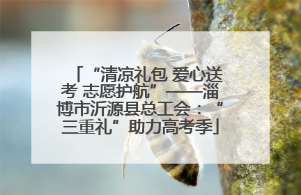 “清凉礼包 爱心送考 志愿护航”——淄博市沂源县总工会：“三重礼”助力高考季