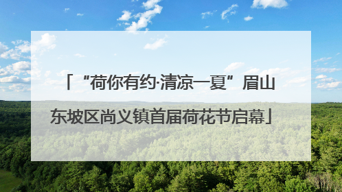 “荷你有约·清凉一夏”眉山东坡区尚义镇首届荷花节启幕