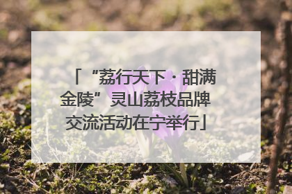 “荔行天下・甜满金陵”灵山荔枝品牌交流活动在宁举行