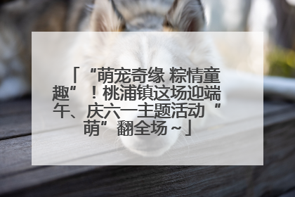 “萌宠奇缘 粽情童趣”！桃浦镇这场迎端午、庆六一主题活动“萌”翻全场～