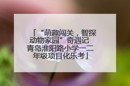 “萌趣闯关，智探动物家园”奇遇记 青岛淮阳路小学一二年级项目化乐考
