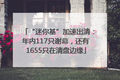 “迷你基”加速出清：年内117只谢幕，还有1655只在清盘边缘
