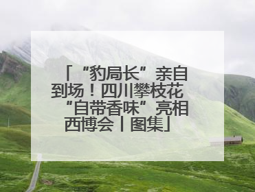 “豹局长”亲自到场！四川攀枝花“自带香味”亮相西博会丨图集